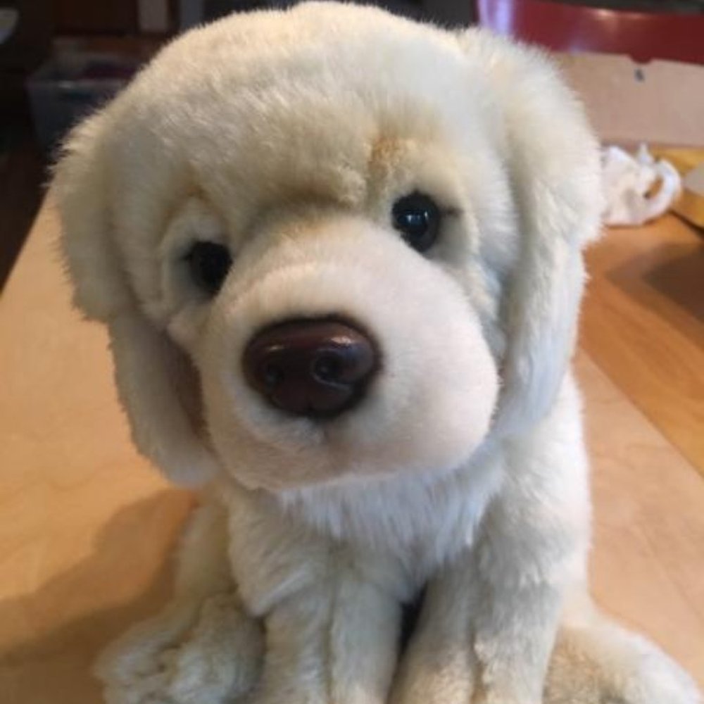 Webkinz Signature Golden Retriever